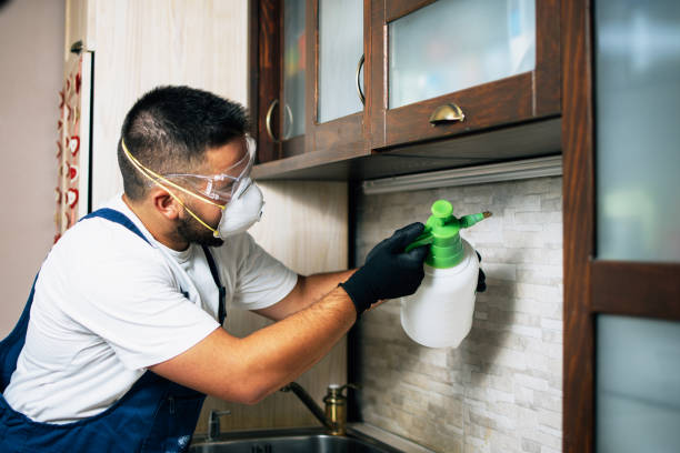 Reliable Howards Grove, WI Pest Control Solutions