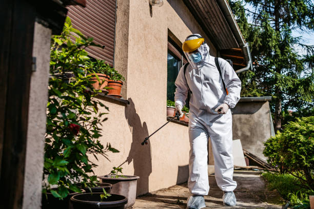 Best Exterminator Services  in Howards Grove, WI