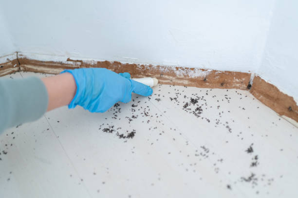 Pest Prevention Services in Howards Grove, WI
